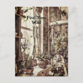 ヴィンテージキッチンウィンドウガーデンプラントフローラ ポストカード (正面)