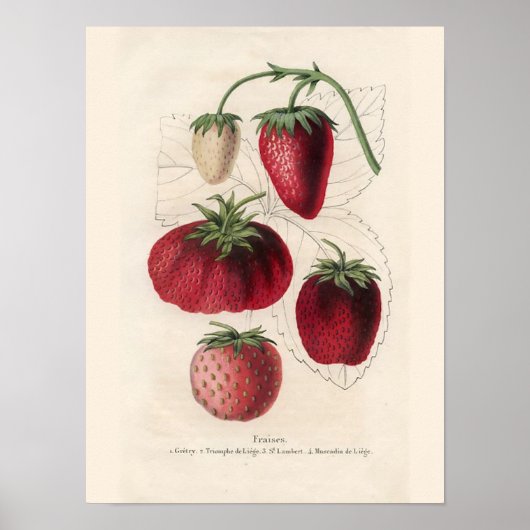 ヴィンテージキッチンウォールアート ポスター (正面)