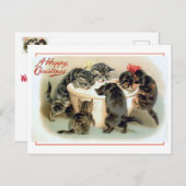 ヴィンテージキッテンおもしろい ポストカード (正面/裏面)