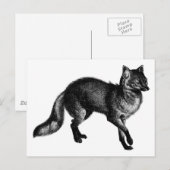 ヴィンテージキツネ ポストカード (正面/裏面)