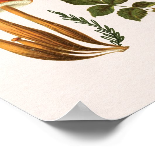 ヴィンテージキノコとワイルドフラワーグラフウォールアート ポスター (角)