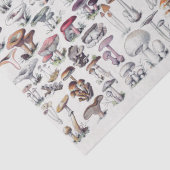 ヴィンテージキノコのコラージュの切り離し 薄葉紙 (詳細)