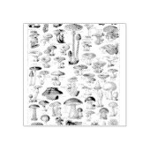ヴィンテージキノコのチャート真菌アートイラストレーション ラバースタンプ (インプリント)