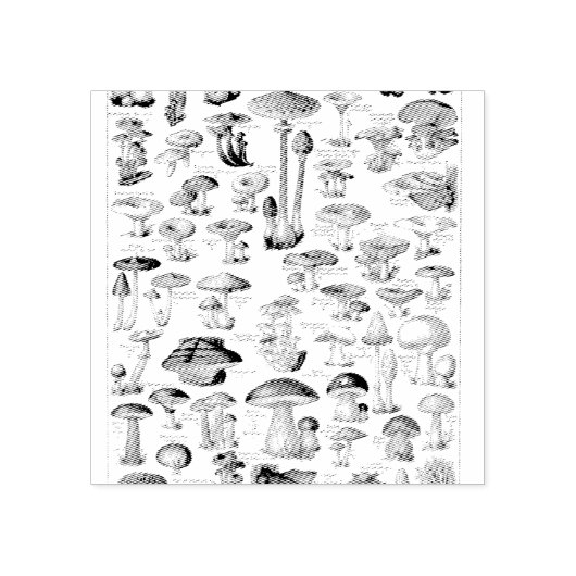 ヴィンテージキノコのチャート真菌アートイラストレーション ラバースタンプ (インプリント)