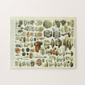 ヴィンテージキノコイラストレーションバイアドルフミロ ジグソーパズル (横)