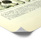 ヴィンテージキノコイラストレーションバイアドルフミロ ポスター (角)