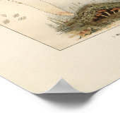 ヴィンテージキノコプリント ポスター (角)