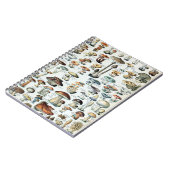 ヴィンテージキノコ可食図 ノートブック (左側)