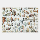 ヴィンテージキノコ可食図 ラッピングペーパーシート (正面)