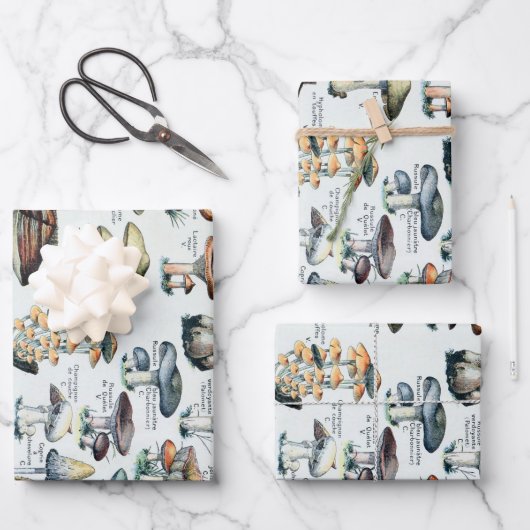 ヴィンテージキノコ可食図 ラッピングペーパーシート (正面)