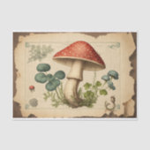 ヴィンテージキノコ紙トアダプツオルのデコページ 薄葉紙 (正面)