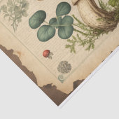 ヴィンテージキノコ紙トアダプツオルのデコページ 薄葉紙 (詳細)