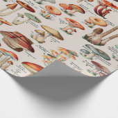 ヴィンテージキノコ菌イラストレーションI ラッピングペーパー (角)