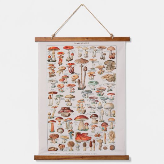 ヴィンテージキノコ菌イラストレーションI 吊り下げ型タペストリー (正面)