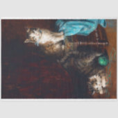 ヴィンテージキャッツティッシュペーパー 薄葉紙 (正面)