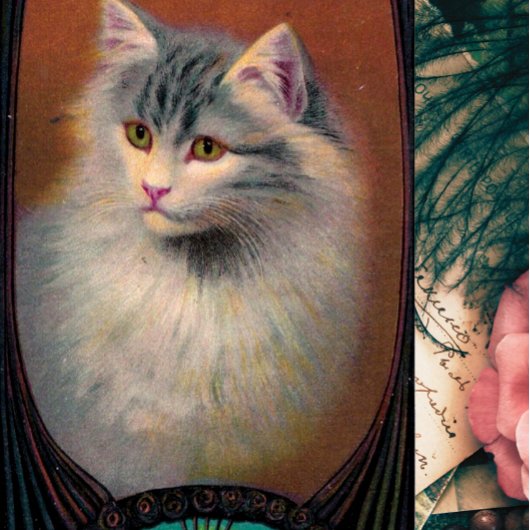 ヴィンテージキャットイラストレーションアールヌーボー エレガント ポスター