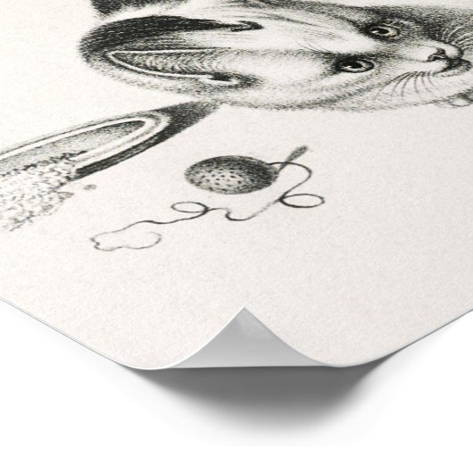 ヴィンテージキャットイラストレーション ポスター (角)