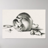 ヴィンテージキャットイラストレーション ポスター (正面)