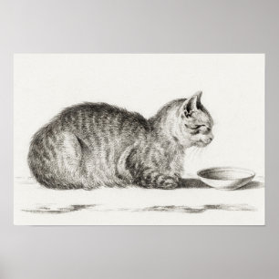 ヴィンテージキャットイラストレーション ポスター