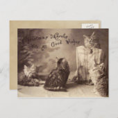 ヴィンテージキャットクリスマスポストカード シーズンポストカード (正面/裏面)