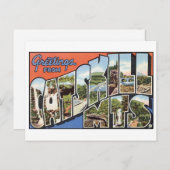 ヴィンテージキャットスキルマウンテンズハガキ ポストカード (正面/裏面)