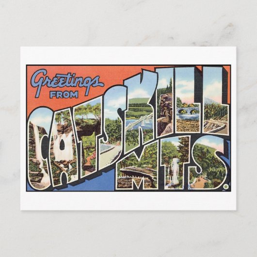 ヴィンテージキャットスキルマウンテンズハガキ ポストカード (正面)