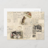 ヴィンテージキャットハガキフランスのタン ポストカード (正面/裏面)