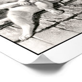 ヴィンテージキャットミュージシャンルートギター動物音楽 ポスター (角)