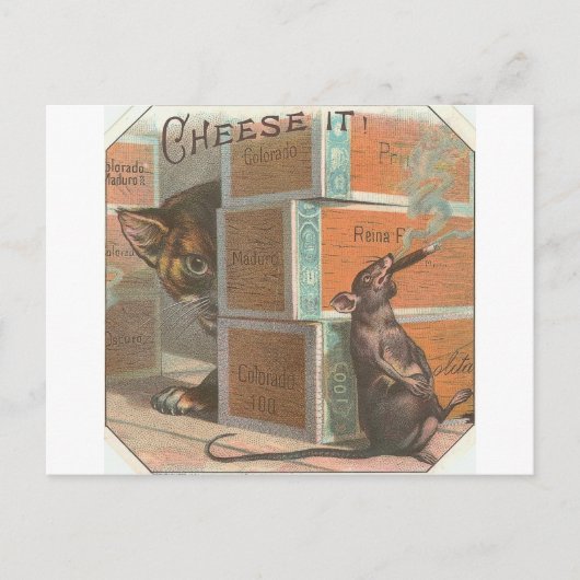 ヴィンテージキャットルッキング喫煙ラット ポストカード (正面)