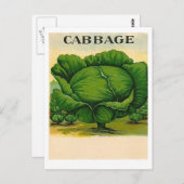 ヴィンテージキャベツ種小葉書 ポストカード (正面/裏面)