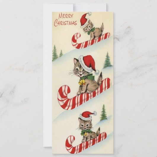 ヴィンテージキャンディ缶で愛らしい3匹の子猫 (正面)