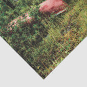 ヴィンテージキャンピングレッドカヌーデコパージュ 薄葉紙 (詳細)