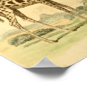 ヴィンテージキラフェカラーイラストレーションアートプリント ポスター (角)