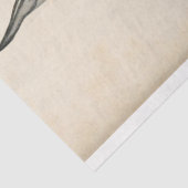 ヴィンテージキラーホエールエフェメラデクペ航海の 薄葉紙 (詳細)