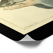 ヴィンテージキラーホエールオルカプリント ポスター (角)