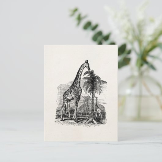 ヴィンテージキリンパーソナライズされた動物イラストレーション ポストカード (スタンド正面)