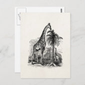 ヴィンテージキリンパーソナライズされた動物イラストレーション ポストカード (正面/裏面)