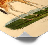 ヴィンテージキリン動物美術プリント自然史 ポスター (角)