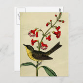 ヴィンテージキルトランズウォーブラバード ポストカード (正面/裏面)