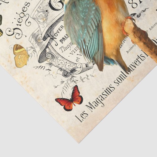 ヴィンテージキングフィッシャーフランスの蝶とデクページ 薄葉紙 (詳細)