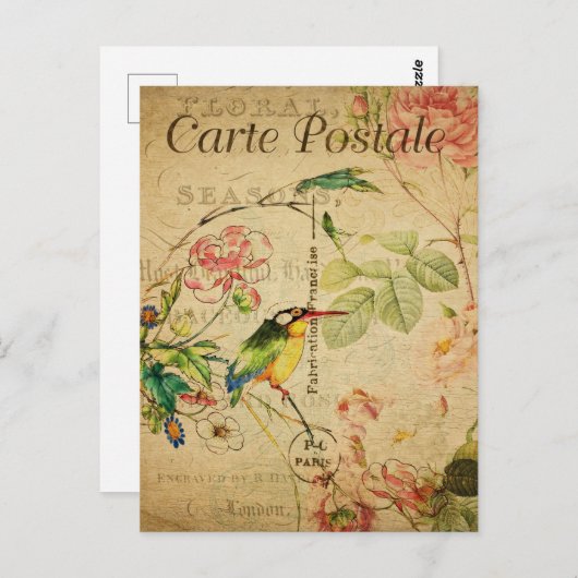 ヴィンテージキングフィッシャー鳥フローラフフランスのラワー ポストカード (正面/裏面)