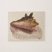 ヴィンテージクィーンコンチシーシェルシェル，海洋動物 ジグソーパズル (横)