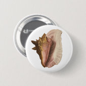 ヴィンテージクィーンコンチシーシェルシェル,海洋動物 缶バッジ (正面&裏面)