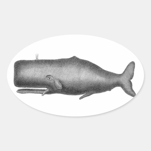 ヴィンテージクジラ 楕円形シール (正面)