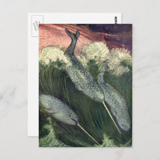 ヴィンテージクジラ、海洋生物海動物 ポストカード (正面/裏面)