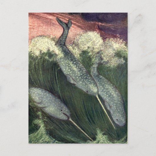 ヴィンテージクジラ、海洋生物海動物 ポストカード (正面)