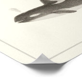 ヴィンテージクジラ – OrcaまたはKiller whale Poster ポスター (角)