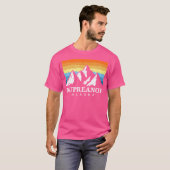ヴィンテージクプレアナオブアラスカマウンテンハイキング土産 Tシャツ (正面フル)