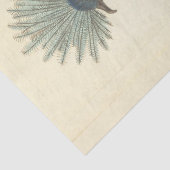 ヴィンテージクラウン付きブルーバードエフエメラデクページ 薄葉紙 (詳細)