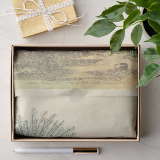 ヴィンテージクラウン付きブルーバードエフエメラデクページ 薄葉紙 (ギフト)